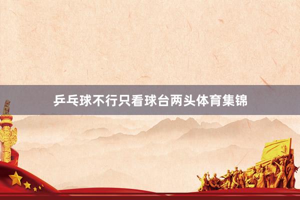 乒乓球不行只看球台两头体育集锦
