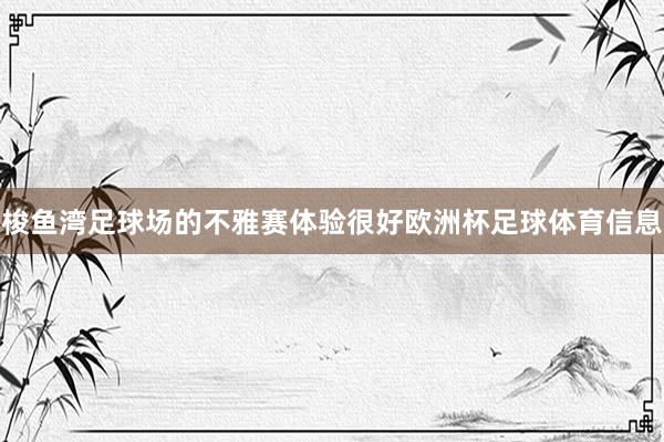梭鱼湾足球场的不雅赛体验很好欧洲杯足球体育信息
