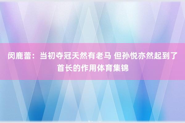 闵鹿蕾：当初夺冠天然有老马 但孙悦亦然起到了首长的作用体育集锦