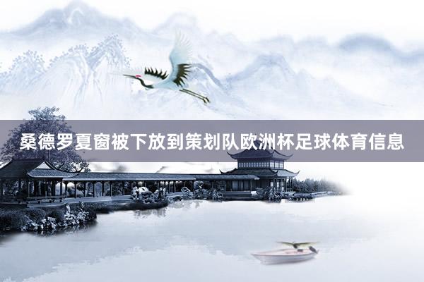 桑德罗夏窗被下放到策划队欧洲杯足球体育信息