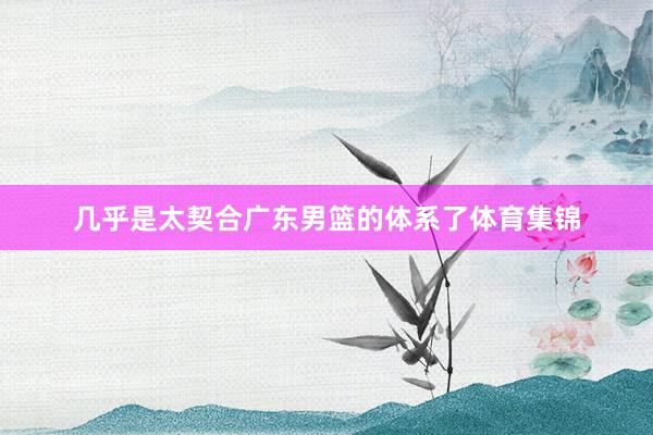 几乎是太契合广东男篮的体系了体育集锦