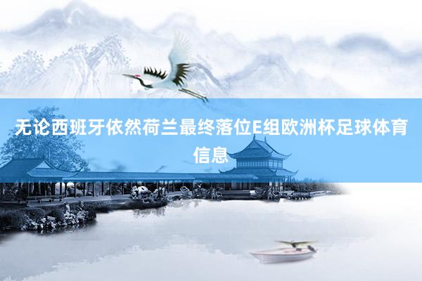 无论西班牙依然荷兰最终落位E组欧洲杯足球体育信息