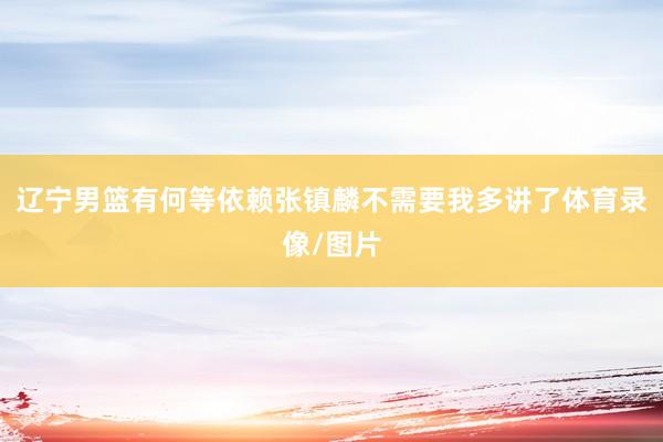 辽宁男篮有何等依赖张镇麟不需要我多讲了体育录像/图片