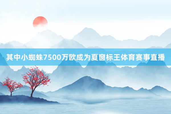 其中小蜘蛛7500万欧成为夏窗标王体育赛事直播