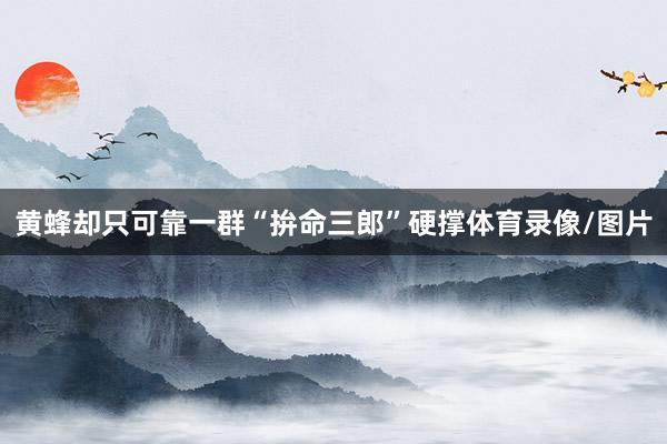 黄蜂却只可靠一群“拚命三郎”硬撑体育录像/图片