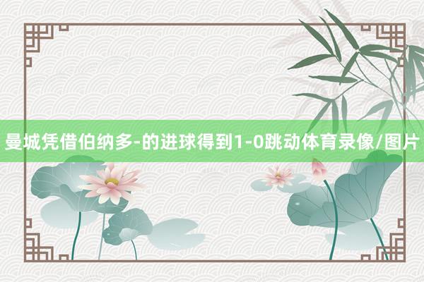 曼城凭借伯纳多-的进球得到1-0跳动体育录像/图片