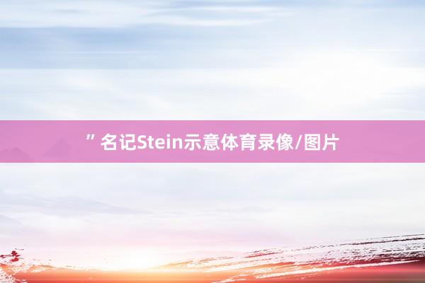 ”名记Stein示意体育录像/图片