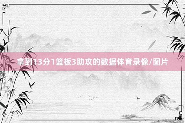 拿到13分1篮板3助攻的数据体育录像/图片