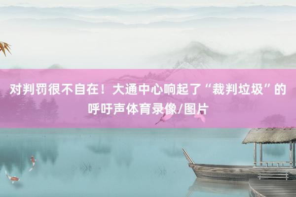对判罚很不自在！大通中心响起了“裁判垃圾”的呼吁声体育录像/图片