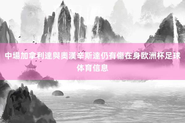 中場加拿利達與奧漢辛斯達仍有傷在身欧洲杯足球体育信息