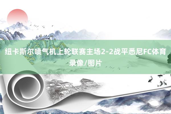 纽卡斯尔喷气机上轮联赛主场2-2战平悉尼FC体育录像/图片