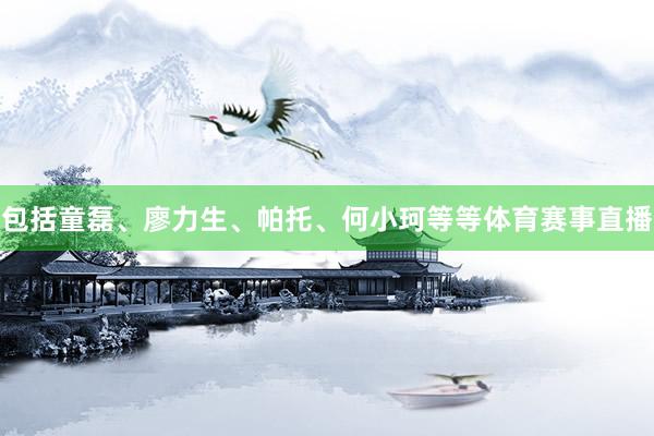 包括童磊、廖力生、帕托、何小珂等等体育赛事直播
