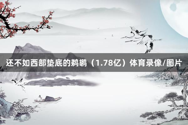 还不如西部垫底的鹈鹕（1.78亿）体育录像/图片