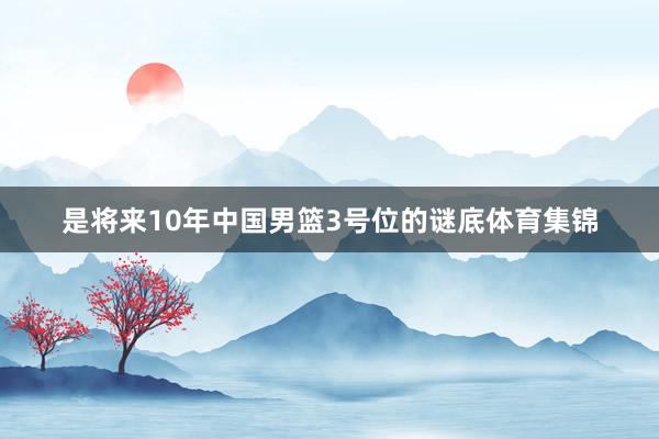 是将来10年中国男篮3号位的谜底体育集锦