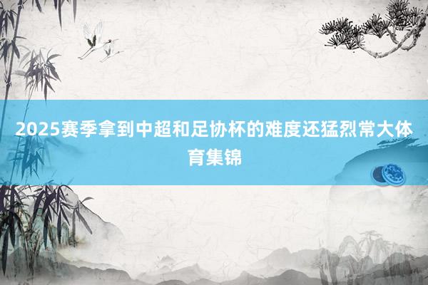 2025赛季拿到中超和足协杯的难度还猛烈常大体育集锦