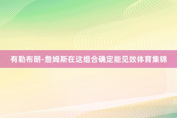 有勒布朗-詹姆斯在这组合确定能见效体育集锦