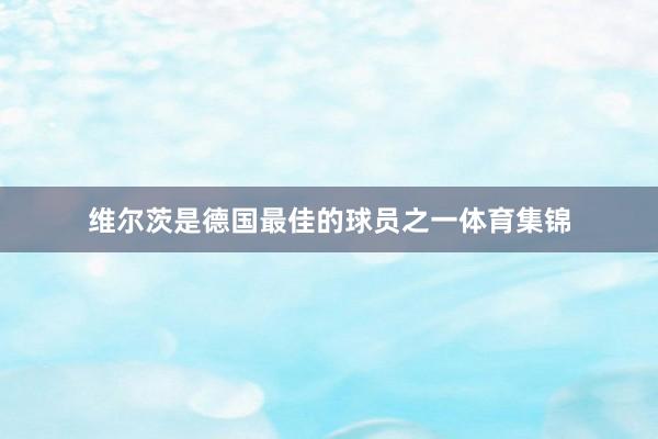 维尔茨是德国最佳的球员之一体育集锦