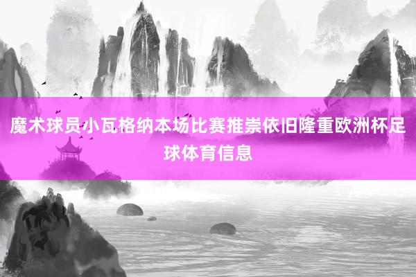 魔术球员小瓦格纳本场比赛推崇依旧隆重欧洲杯足球体育信息