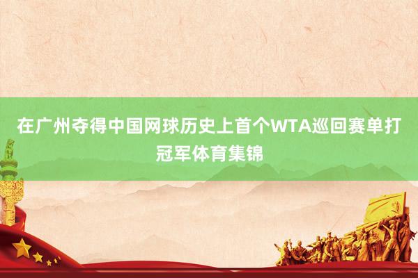 在广州夺得中国网球历史上首个WTA巡回赛单打冠军体育集锦