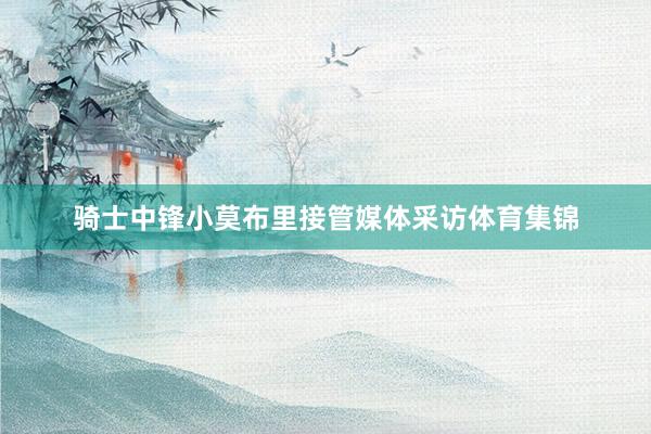 骑士中锋小莫布里接管媒体采访体育集锦