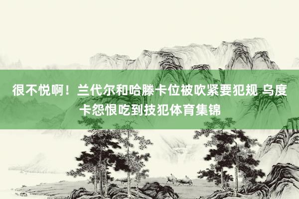很不悦啊！兰代尔和哈滕卡位被吹紧要犯规 乌度卡怨恨吃到技犯体育集锦